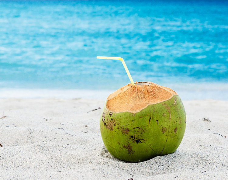 All Things Coconuts