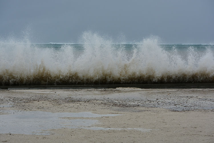 new seawall at Xanadu