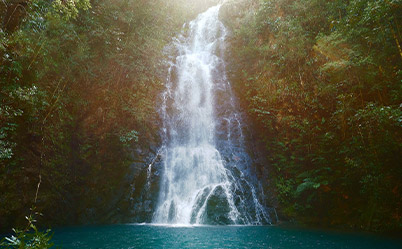 Belize Jungle Beach Package