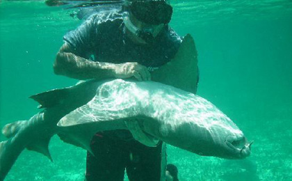 Belize Snorkeling Tours