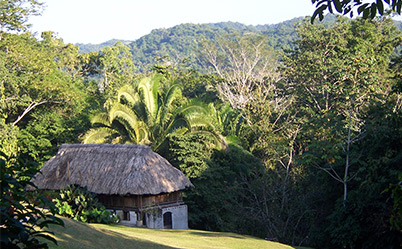 Belize Rainforest & Beach Package