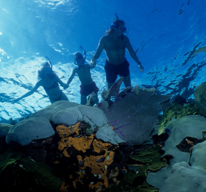 San Pedro Ambergris Caye Belize Vacation Packages Snorkeling