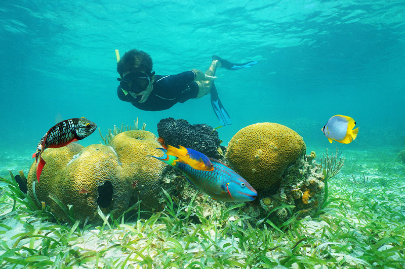 belize snorkeling tours