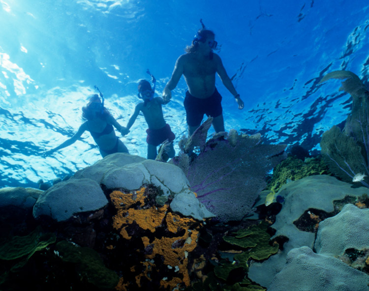 Ambergris Caye Belize Snorkeling Tours